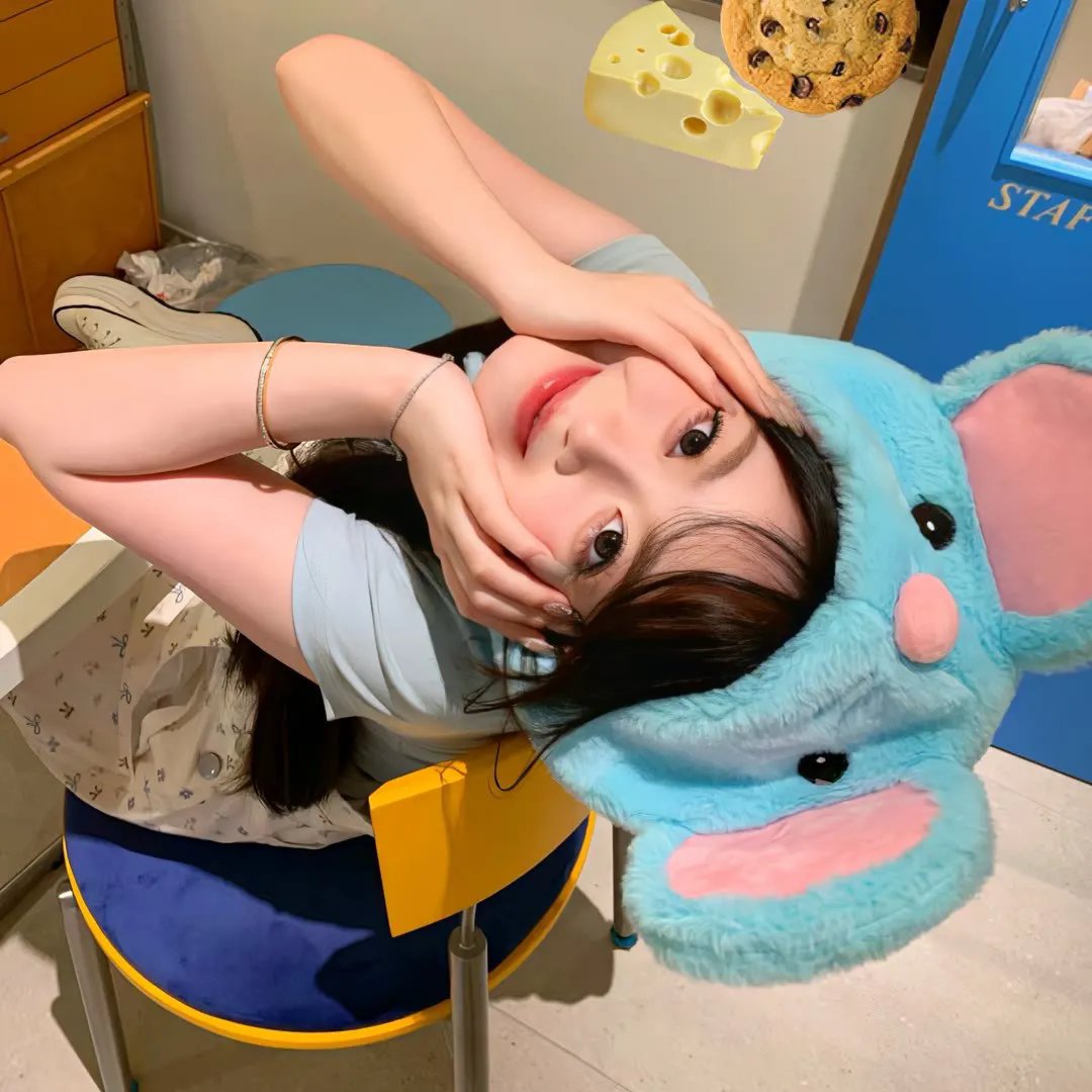 屋顶上的猫